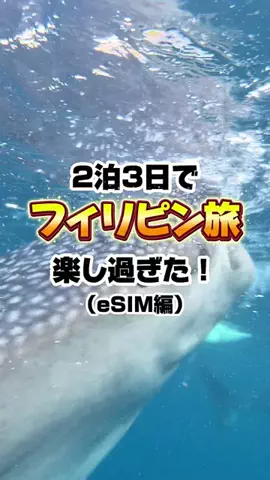 やっせんぼー⌇中国出向🇨🇳のTikTok投稿