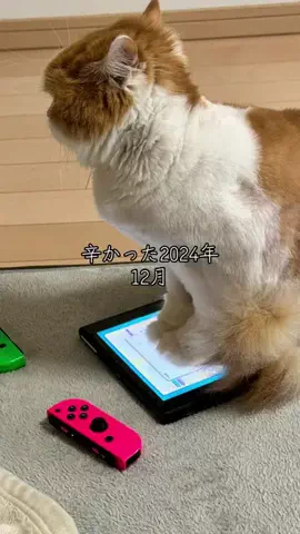 Sana 𓃠 LanaのTikTok投稿