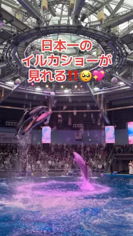 フォロバのTikTok投稿