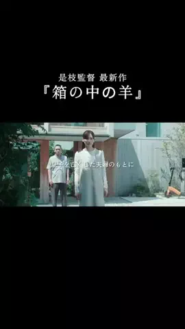 余韻シネマのTikTok投稿