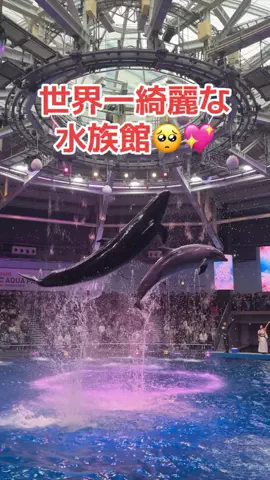 フォロバのTikTok投稿