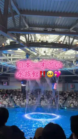 フォロバのTikTok投稿
