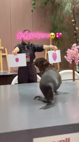 フォロバのTikTok投稿