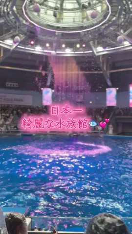 フォロバのTikTok投稿