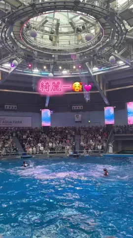 フォロバのTikTok投稿