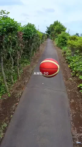 バスケ侍のTikTok投稿