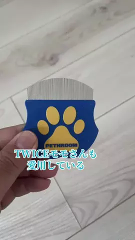 ハスの惑星☀️🌙のTikTok投稿