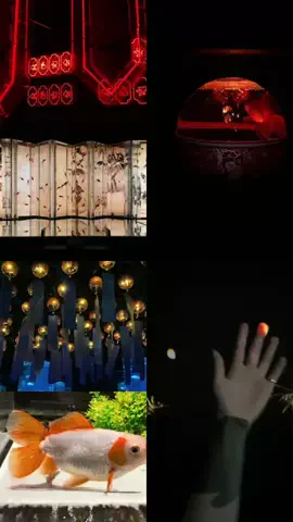 sakiのTikTok投稿