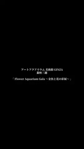 sakiのTikTok投稿