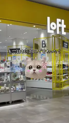 ビタミンC子のTikTok投稿