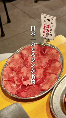 ハル｜東京グルメ・新大久保のTikTok投稿