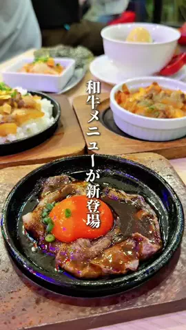 ハル｜東京グルメ・新大久保のTikTok投稿