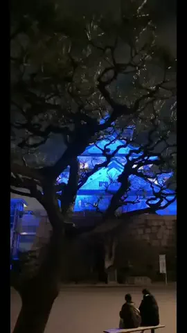 龍太郎JAPANのTikTok投稿