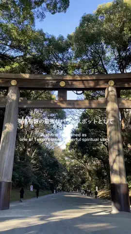 jennifer_eyesのTikTok投稿