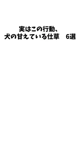 愛犬家の集いのTikTok投稿