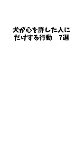 愛犬家の集いのTikTok投稿