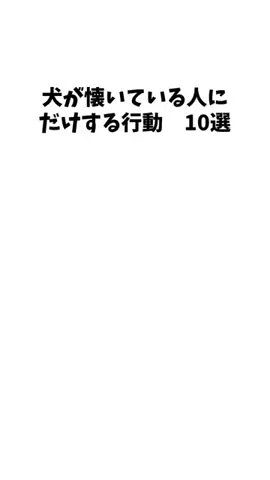 愛犬家の集いのTikTok投稿