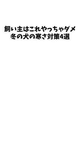 愛犬家の集いのTikTok投稿