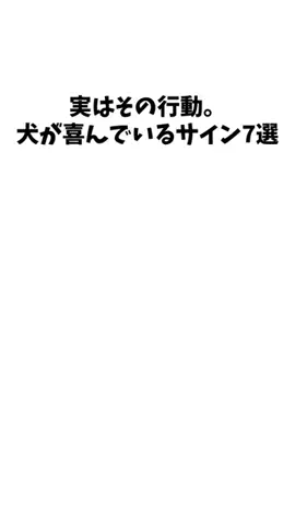 愛犬家の集いのTikTok投稿