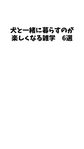 愛犬家の集いのTikTok投稿