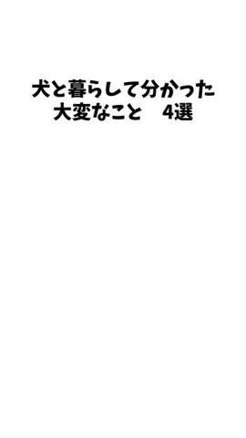 愛犬家の集いのTikTok投稿