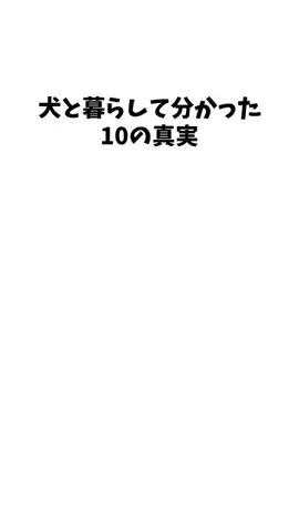 愛犬家の集いのTikTok投稿