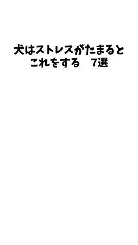 愛犬家の集いのTikTok投稿