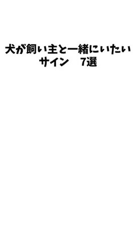 愛犬家の集いのTikTok投稿