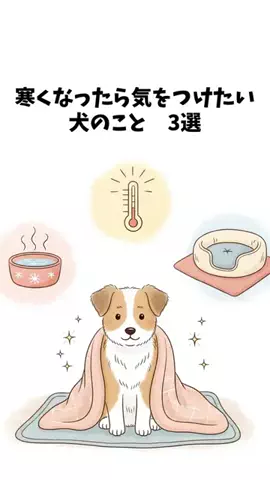 愛犬家の集いのTikTok投稿