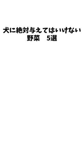 愛犬家の集いのTikTok投稿