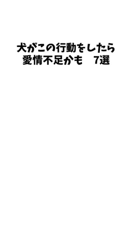 愛犬家の集いのTikTok投稿