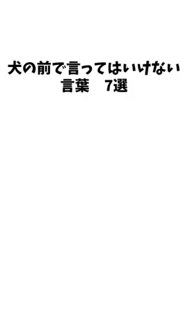愛犬家の集いのTikTok投稿