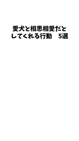 愛犬家の集いのTikTok投稿