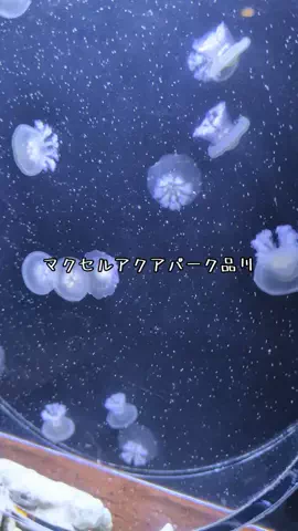 ゆっっっっき。｜疲れた大人、ここ行このTikTok投稿