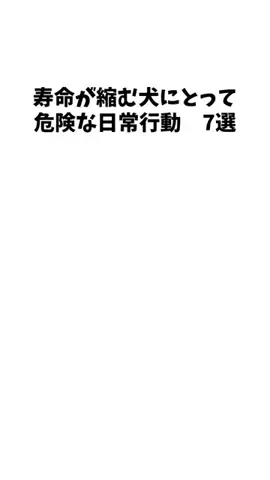 愛犬家の集いのTikTok投稿