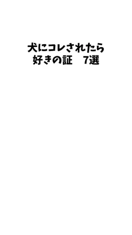 愛犬家の集いのTikTok投稿