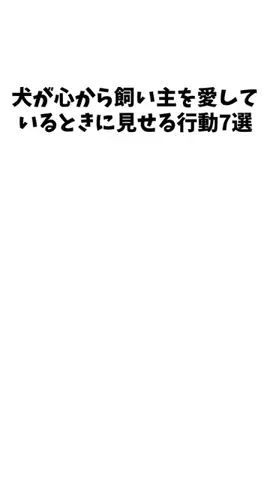 愛犬家の集いのTikTok投稿