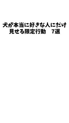 愛犬家の集いのTikTok投稿