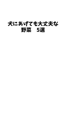 愛犬家の集いのTikTok投稿