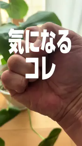髭乙女🍦ᗢᘏᓗの挑戦✨のTikTok投稿