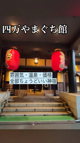 ぷりんのTikTok投稿