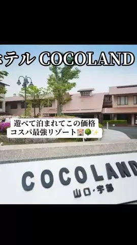 ぷりんのTikTok投稿