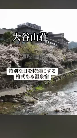 ぷりんのTikTok投稿