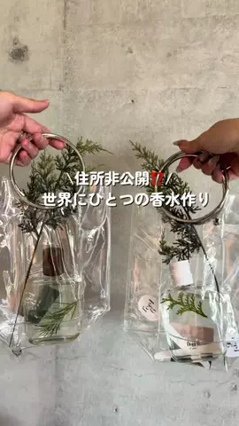 なみちゃん旅のTikTok投稿