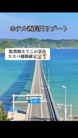 ぷりんのTikTok投稿