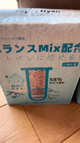 髭乙女🍦ᗢᘏᓗの挑戦✨のTikTok投稿