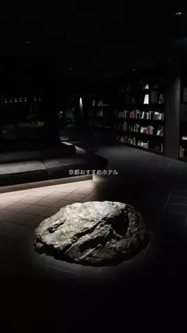 なみちゃん旅のTikTok投稿