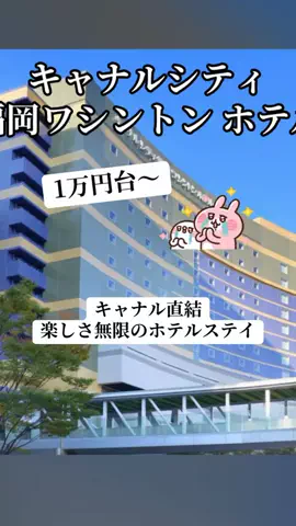 ぷりんのTikTok投稿