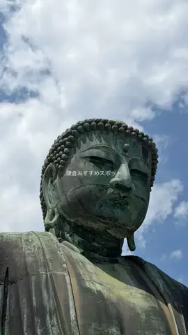 なみちゃん旅のTikTok投稿