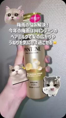 目きゅるきゅる👁ࠔ👁あやかのTikTok投稿